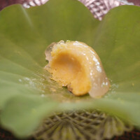 心根 - 