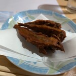山の仙人 淳  - 目光の唐揚げ