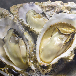 魚介ビストロ sasaya BYO_2