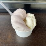 ジェラテリア・イル・ブリガンテ - マテーラ産ピスタチオ,本日のワインのジェラート,アーモンドミルク