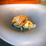 蒼 - 愛媛の赤雲丹は、色は余り冴えませんが、甘み旨み味の濃さが頭抜けていて最高です。冷製フェデリーニはいつも最高に大好きです♡