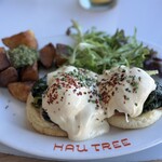 Hau Tree Lanai Restaurant - 