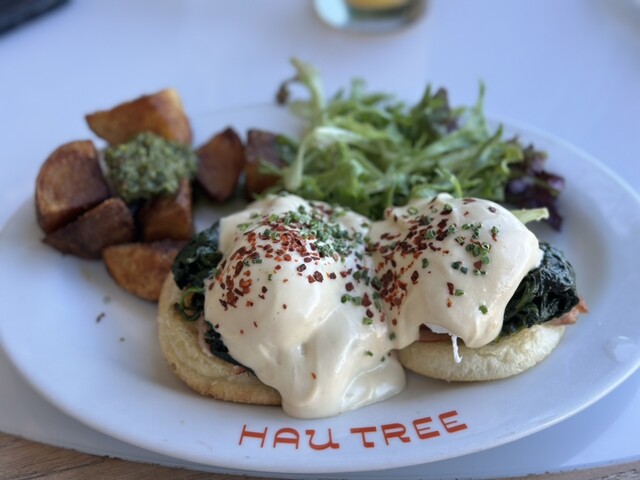 油絵　マミ　ハワイのハウツリーラナイCafeで Hau Tree Lanai Restaurant （ハウツリーラナイ） - カピオラニ
