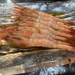 やきとり たかた - 