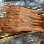 やきとり たかた - 