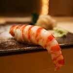 鮨 つきうだ - 車海老握り