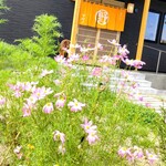 江戸そば マルノ - 外観