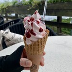 ザ・ヴェランダ - 季節のソフトクリーム（苺）2024年7月撮影