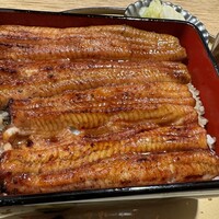 うなぎ 目白ぞろ芽 - 