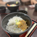 江の島 ハルミ - 