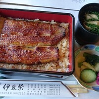鰻割烹 伊豆栄 本店 - 