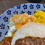 ヌードル＆スパイスカレー 今日の1番 - 