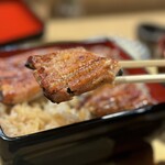 うなぎ 目白ぞろ芽 - 