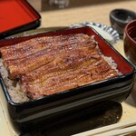 うなぎ 目白ぞろ芽 - 