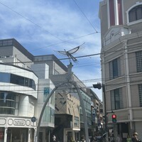 Le Petit Courageux - 