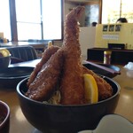 ソースかつ丼 我山 - 