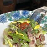 Modern Thai CIEL 北参道 - お肉のサラダ