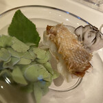 イタリアンレストラン Zucca - 