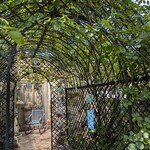 グリーンフィンガー - 