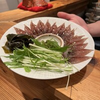 シーズン - 