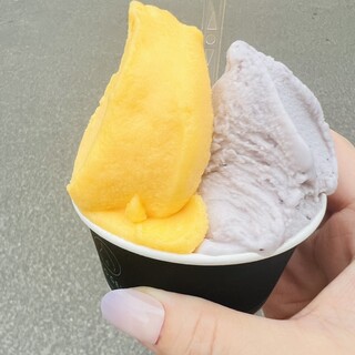 ココジェラート_1