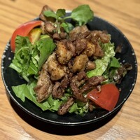 鳥ばか一代 - 