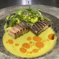 中土 - エキゾチックな雰囲気のひと皿。インパクトのあるナマズのリゾット風。東広島市の黒瀬で養殖されたナマズを
                    低温調理し、豆のスープとオイルで構成。