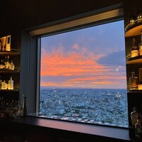 タワーズバー ベロビスト - 