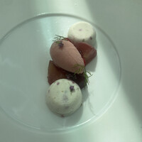 TRATTORIA CREATTA - 