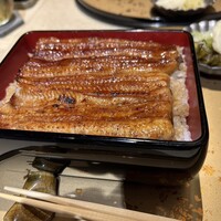 うなぎ 目白ぞろ芽 - 