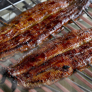 外はパリッと香ばしく中はふわっと肉厚。とろっと脂がのった鰻