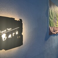 白金Baru - 