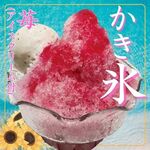 テスタロッサカフェ - 