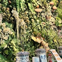 Shangri-La's secret ROPPONGI - ‍きのこがお出迎え