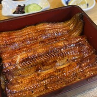 割烹蒲焼 横浜八十八 吉田町店 - 
