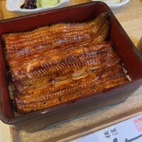 割烹蒲焼 横浜八十八 吉田町店 - 