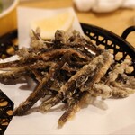 春のお店 - カリカリどじょう。これの塩もいい塩梅。