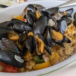 Fogliolina della Porta Fortuna - 