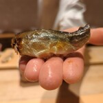 銀座 しのはら - 鮎のお鮨