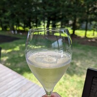 フォリオリーナ・デッラ・ポルタ・フォルトゥーナ - 