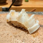 鮨なかもと - 剣先イカ