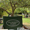 The Orchard Tea Garden