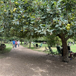 The Orchard Tea Garden - 