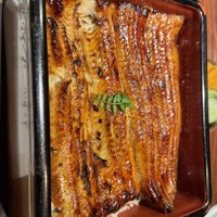 新宿うな鐵 はなれ -  新宿うな鐵 はなれ -