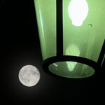 焼きもの家 慶 - くいだおれ通りの街灯の先に月