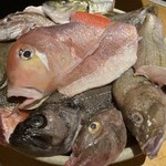 魚匠 銀平 心斎橋店 - 