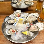Oyster Bar ジャックポット - 