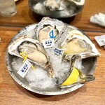 Oyster Bar ジャックポット - 