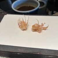 ひのきざか - 