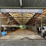 那須高原今牧場 チーズ工房 - 